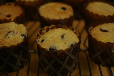 muffin1st.jpg